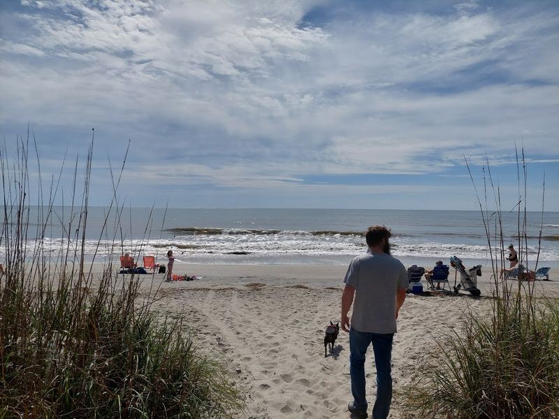 Hunting Island State Park - Hunting Island, Beaufort County