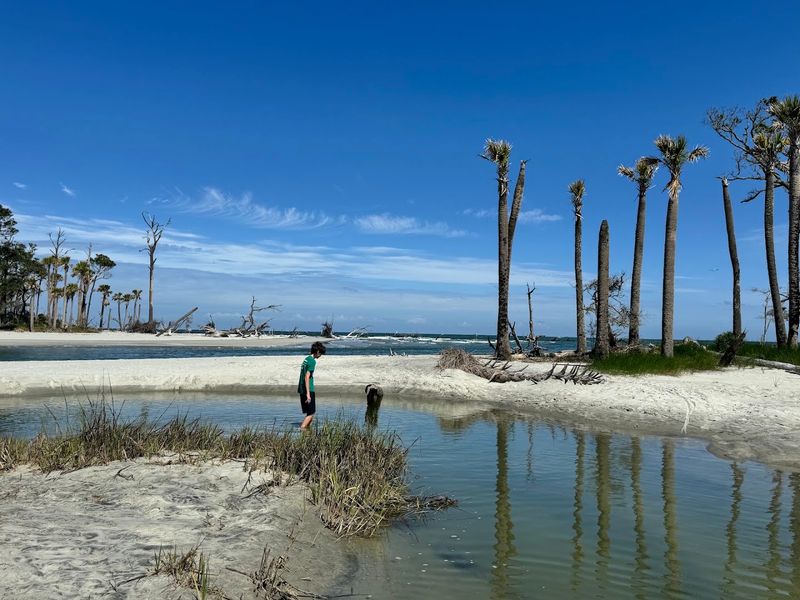 Hunting Island State Park - Beaufort, Beaufort County