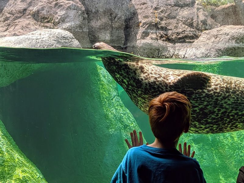 Plan the Perfect Visit to Asheboro's Biggest Attraction