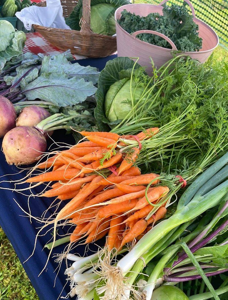 Fort Mill Farmers & Artisans Market - Fort Mill