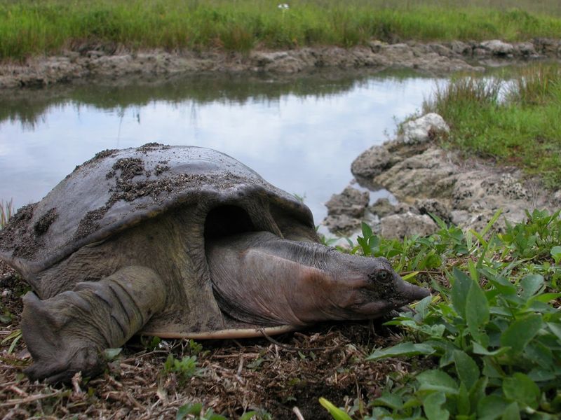 Everglades National Park
