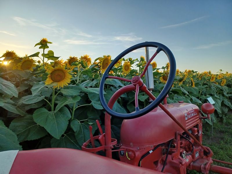 Eckhart Farms - Washington, Washington County, Iowa