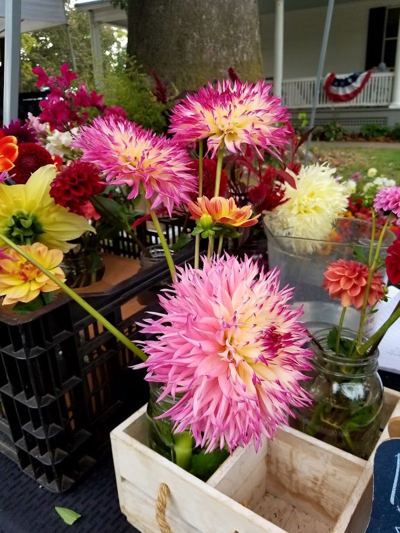 Wethersfield Farmers' Market - Wethersfield