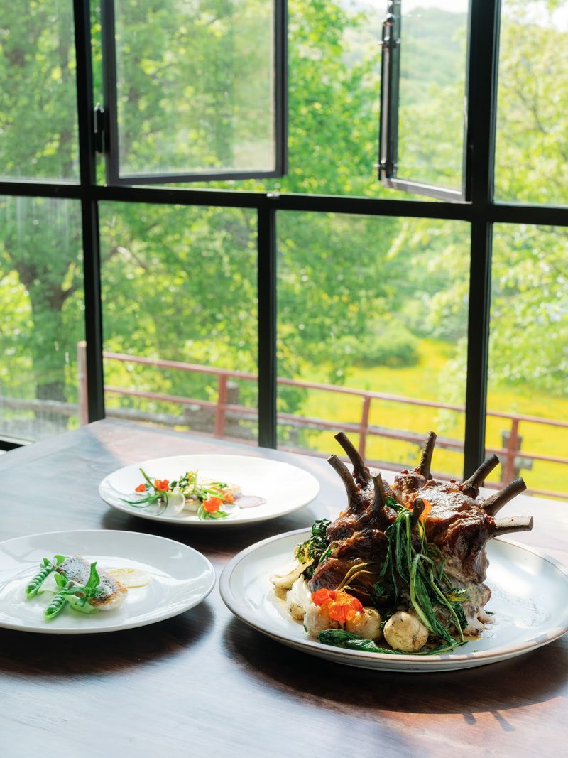 Elevated Dining at Switchback Restaurant