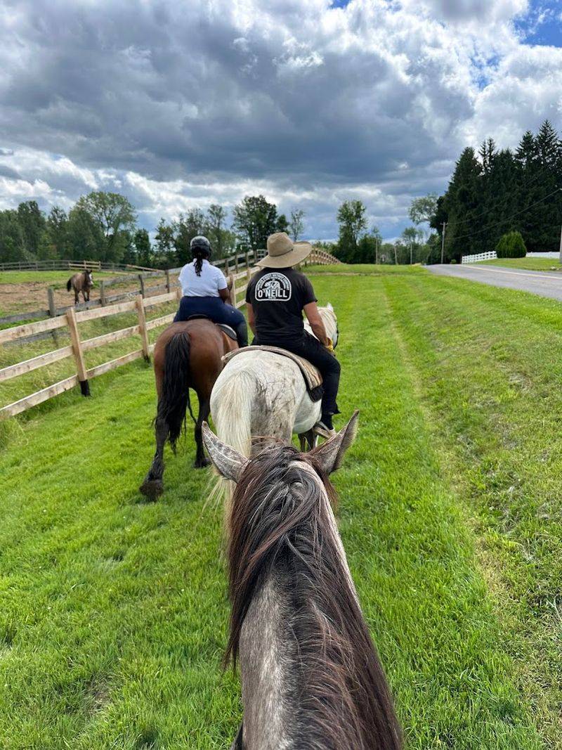 CNY Equine Park & Trail Riding &mdash; Westmoreland, New York