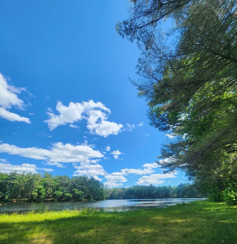 Whitehall Pond Beach (Rutland State Park) - Rutland