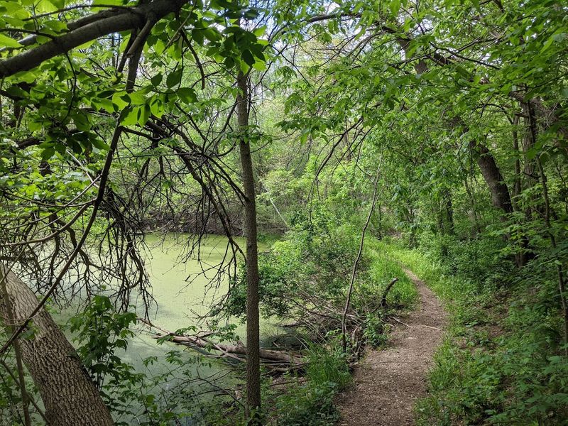 East Lake Trail - Black Hawk State Park, Lake View, Iowa