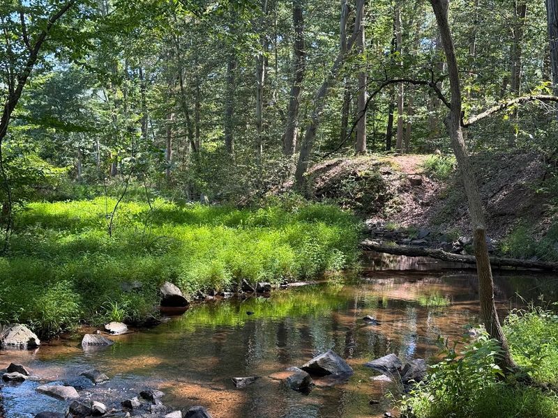 French Creek Mines Area 