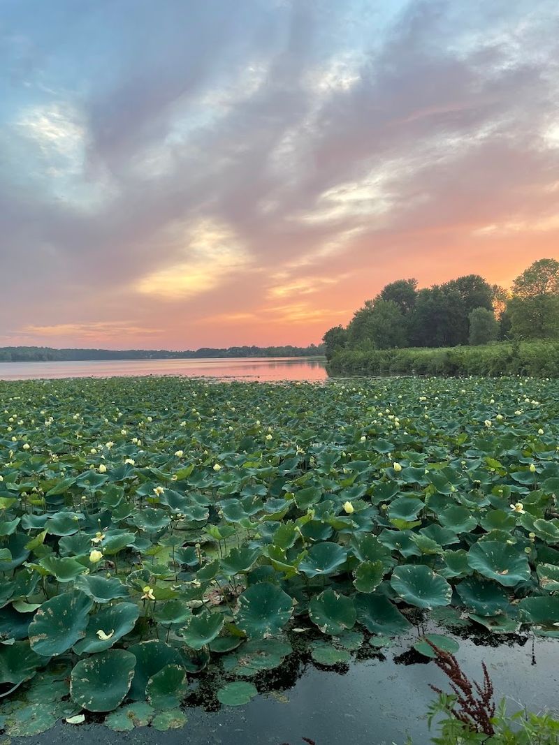 Sunset Views That Stop You Cold