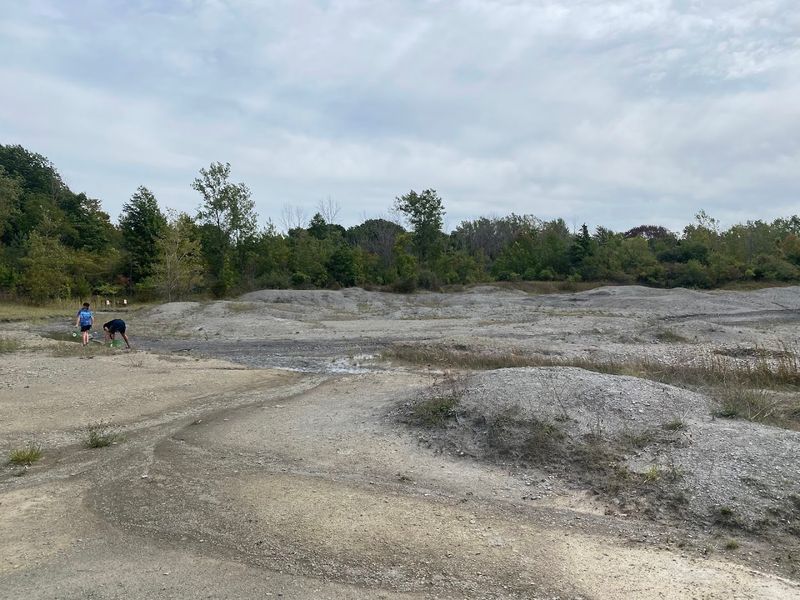 Penn Dixie Fossil Park & Nature Reserve &mdash; Blasdell, New York