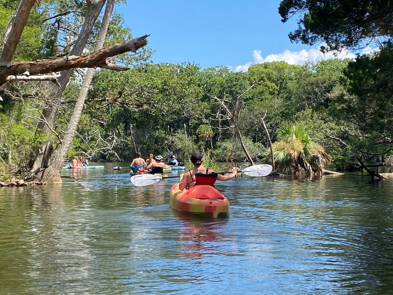 Homosassa Springs - Homosassa, Citrus County