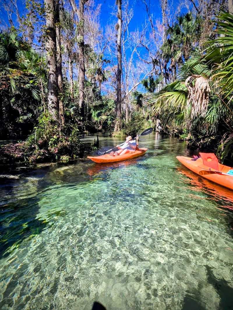 Wekiva River & Rock Springs Run