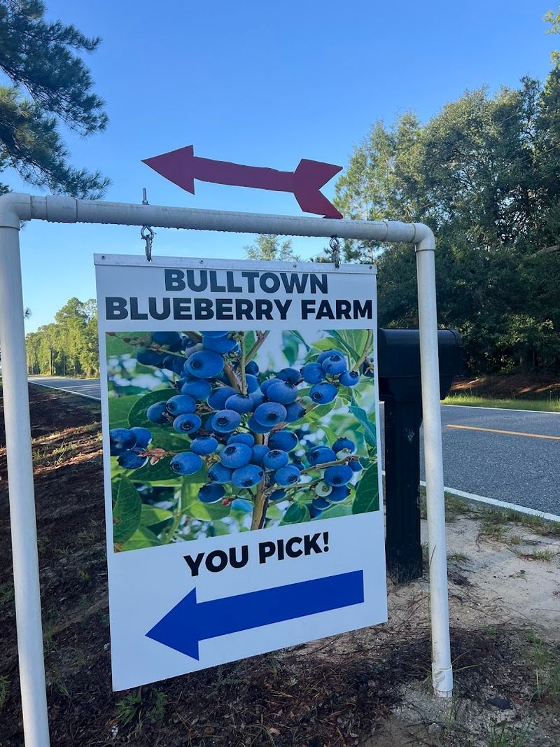 Bulltown Berry Farm
