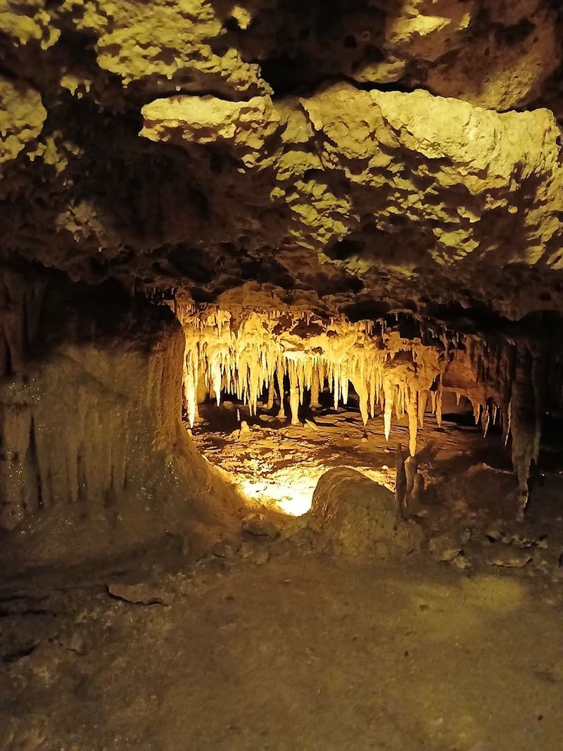 Florida Caverns State Park
