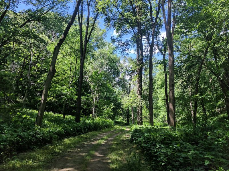 Hitchcock Nature Center