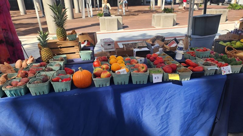 Lakeland Downtown Farmers Curb Market