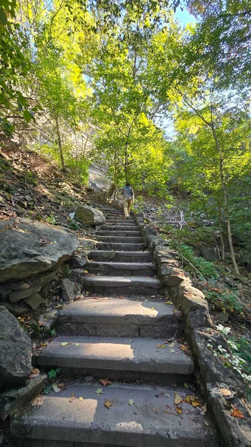 The Staircase That Takes You Deep Into the Niagara Gorge