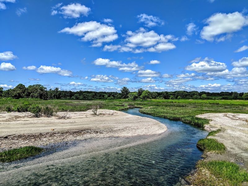 Silver Sands State Park (Milford)