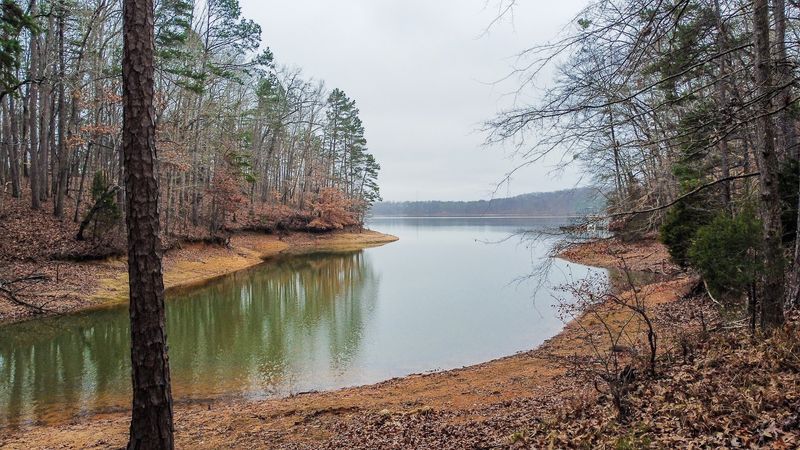Lake Hartwell State Park 