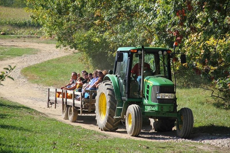 Mapleside Farms - Brunswick, Medina County