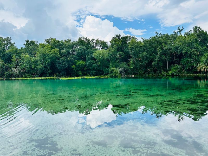 Turquoise Water That Looks Almost Unreal
