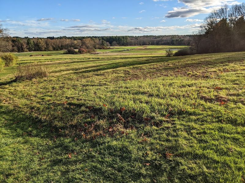 Walk the Scenic Trails Through Fields, Forests, and Wetlands