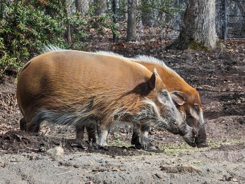 Meet More Than 1,700 Animals