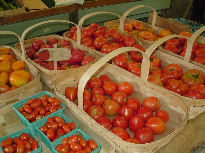 Clearview Farm - Sterling, Worcester County