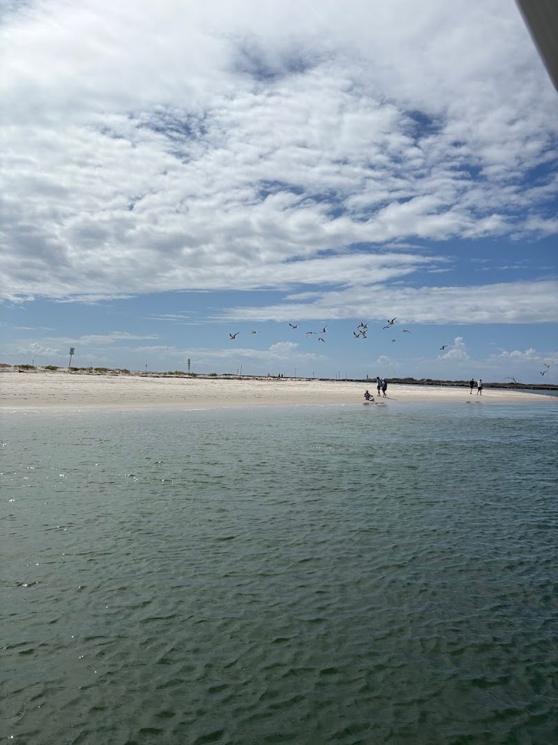 Masonboro Island Ferry: Spend The Day On A Secluded Coastal Escape