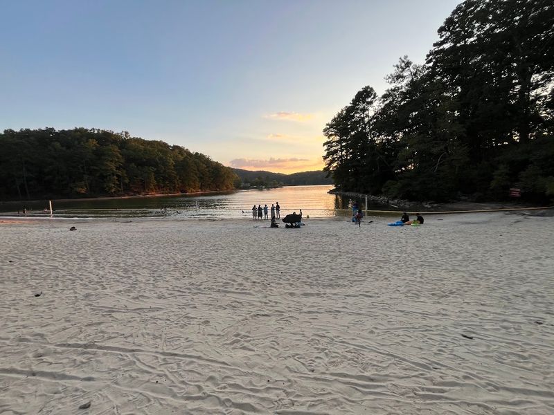 Red Top Mountain State Park Beach - Acworth