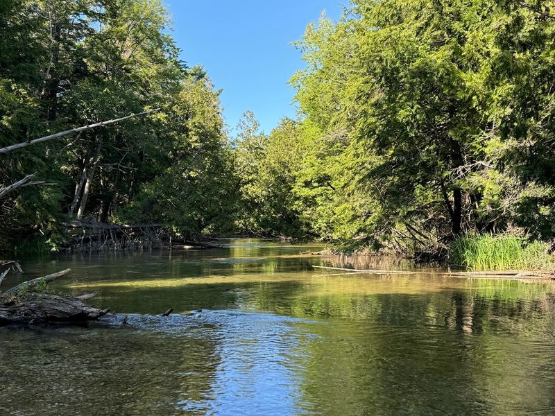Crystal River