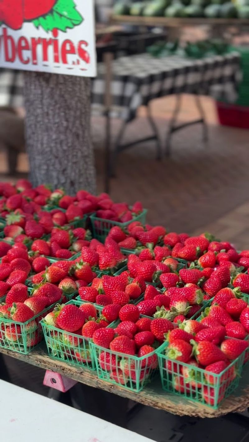 Sarasota Farmers Market