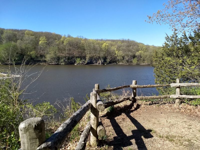Riverside Walking Paths Where Water Meets Woodland Wonder