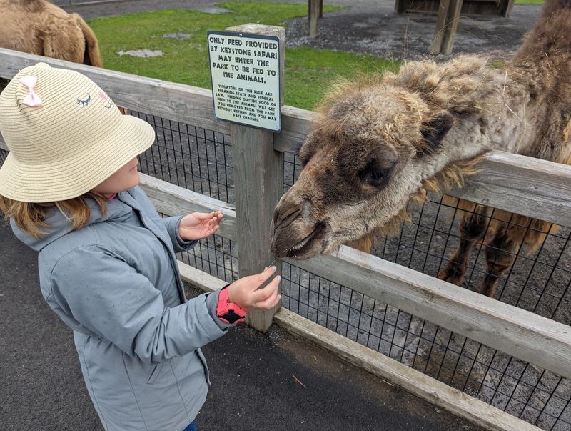 Walk-Through Animal Park