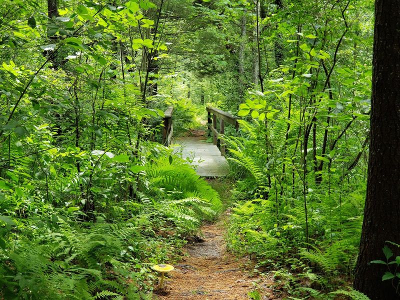 Oxbow National Wildlife Refuge - Harvard and Devens, Worcester County