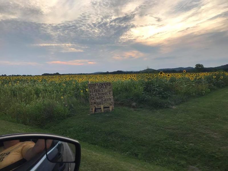 Dresbach Farms