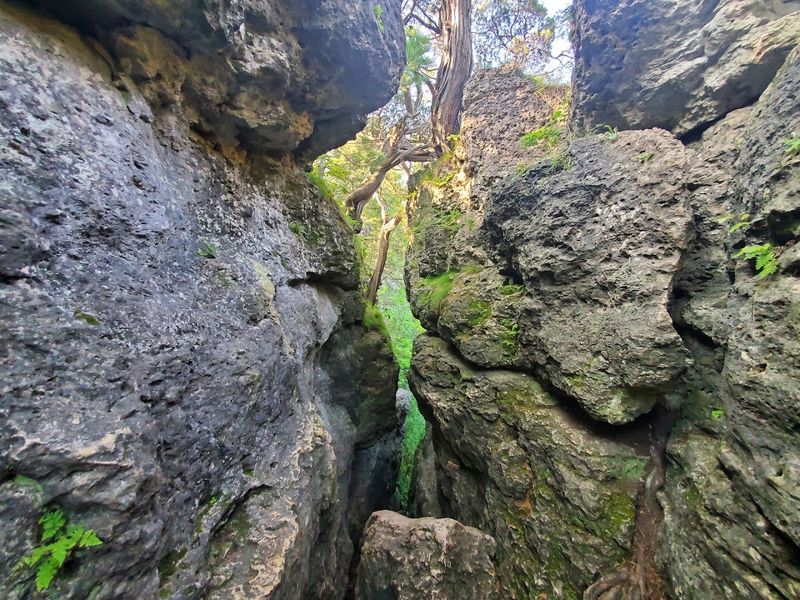 Backbone State Park - Backbone Cave
