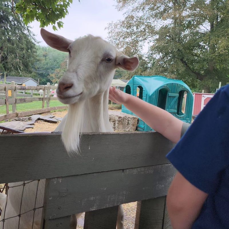 Ray of Light Farm (East Haddam)