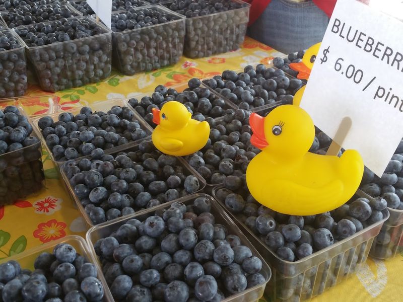 Ann Arbor Farmers Market 