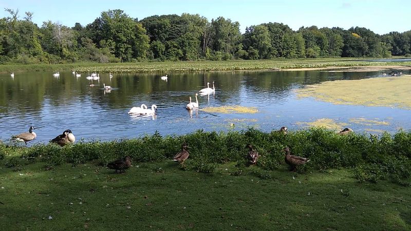 The Joy Of Slowing Down By The Water