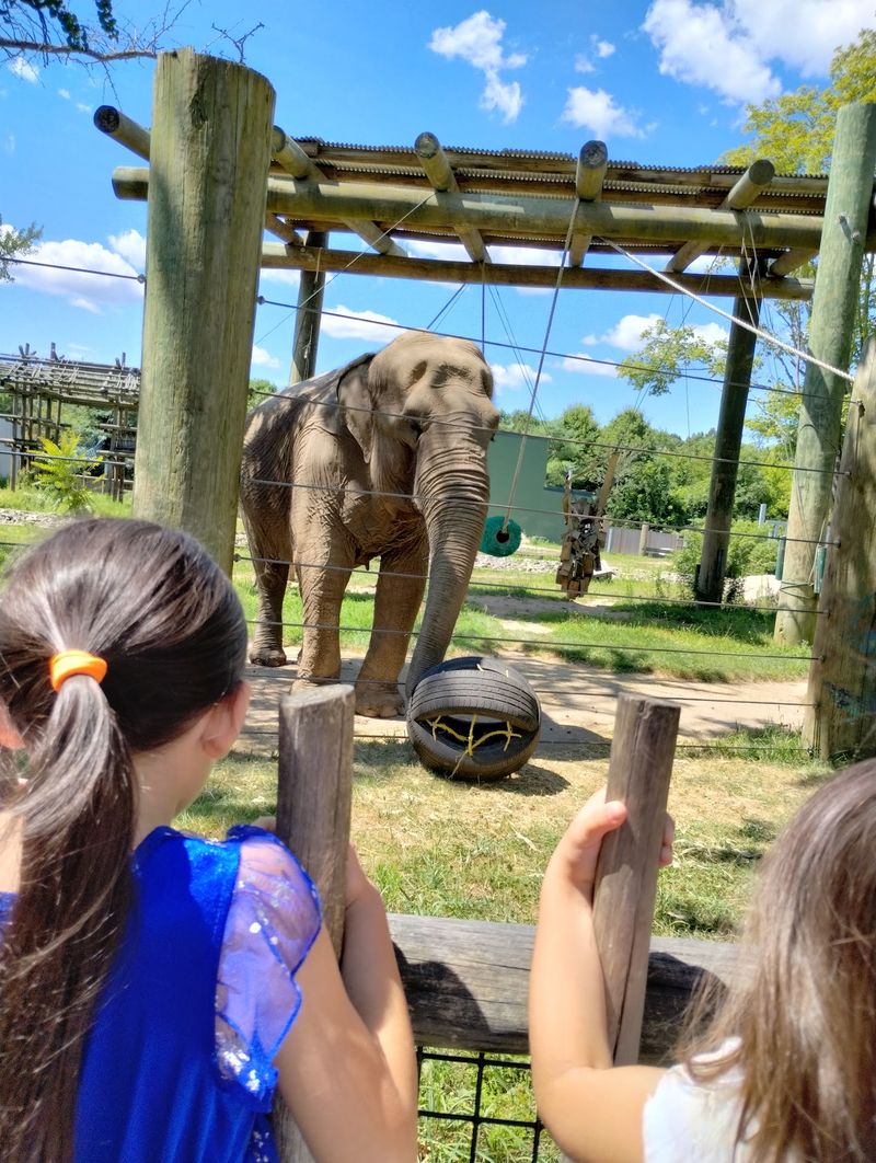 Buttonwood Park Zoo (New Bedford)