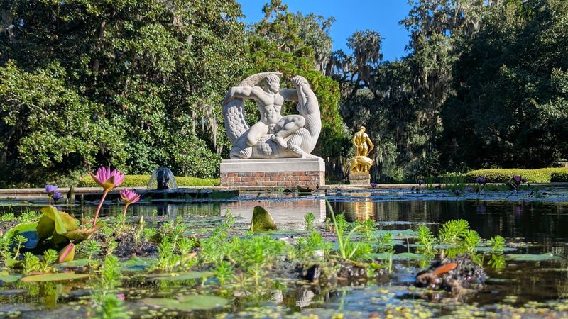 Brookgreen Gardens Wildlife - Murrells Inlet, Georgetown County