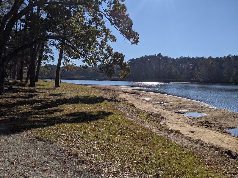 Georgia Veterans State Park Beach - Cordele