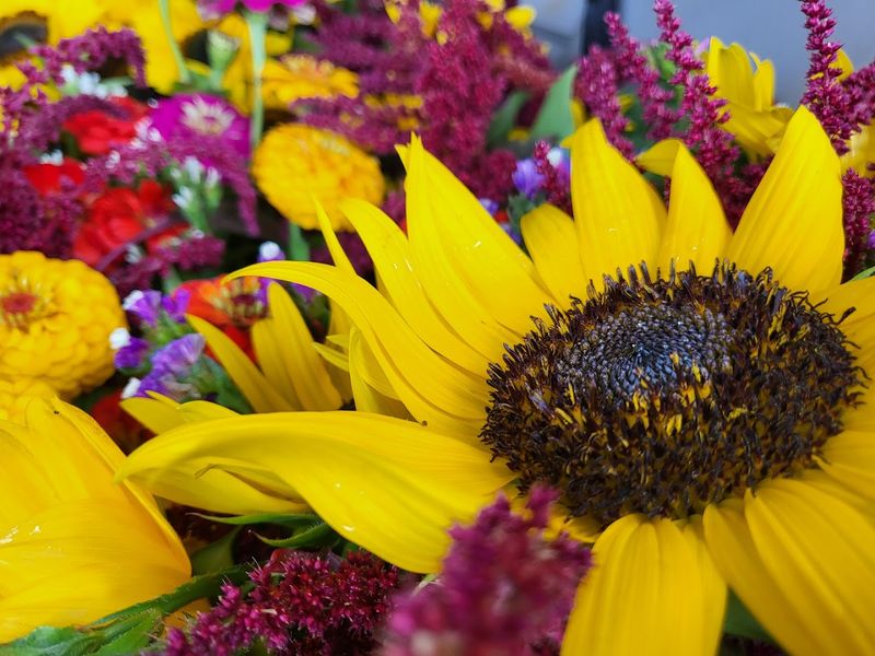 New Canaan Farmers Market