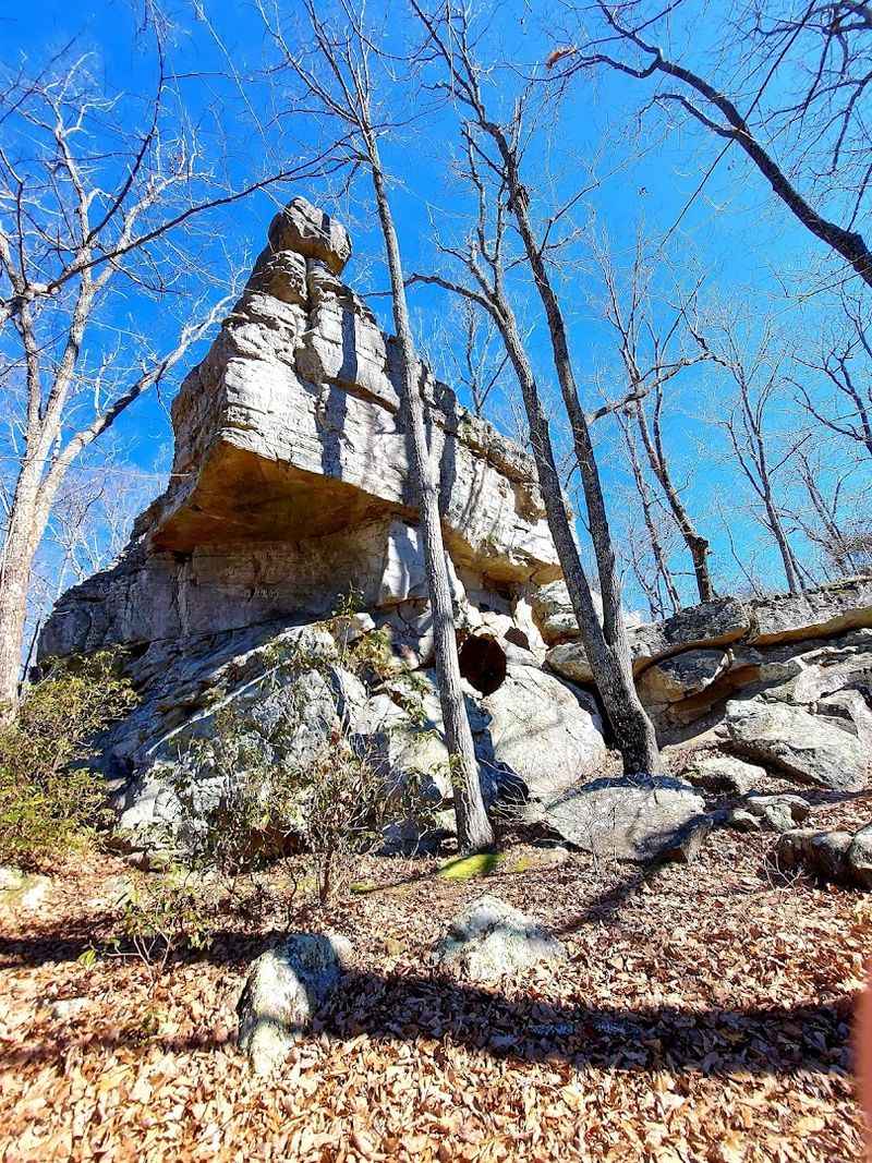 Crockford-Pigeon Mountain Cave - Lafayette, Walker County
