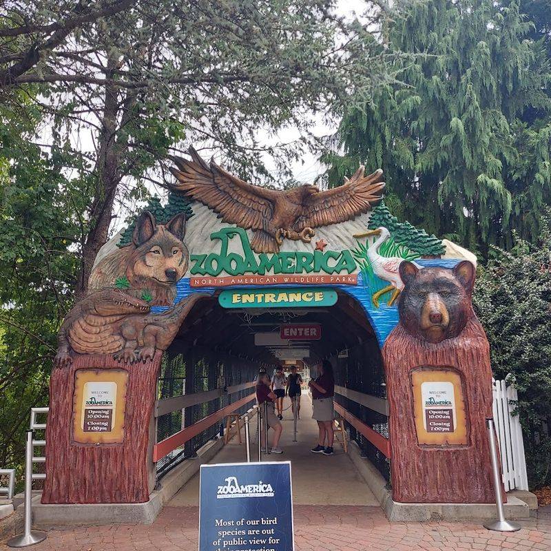 A North American Wildlife Adventure In The Heart Of Hershey