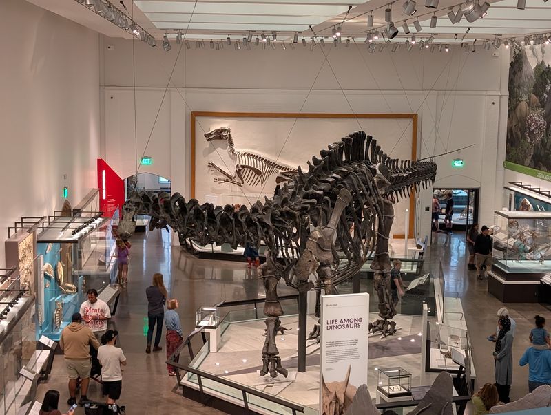 Peabody Museum of Natural History - New Haven, New Haven County,