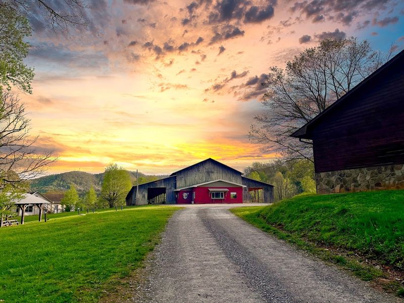 The Beautiful Brasstown Mountain Campus