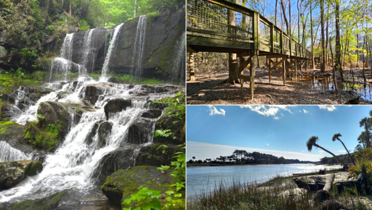 Every Step Paid Off on These 11 South Carolina Hikes We&rsquo;d Do Again Tomorrow