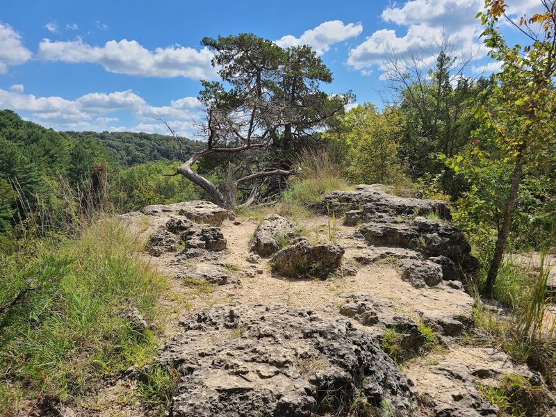 Backbone Trail - Backbone State Park, Dundee, Iowa